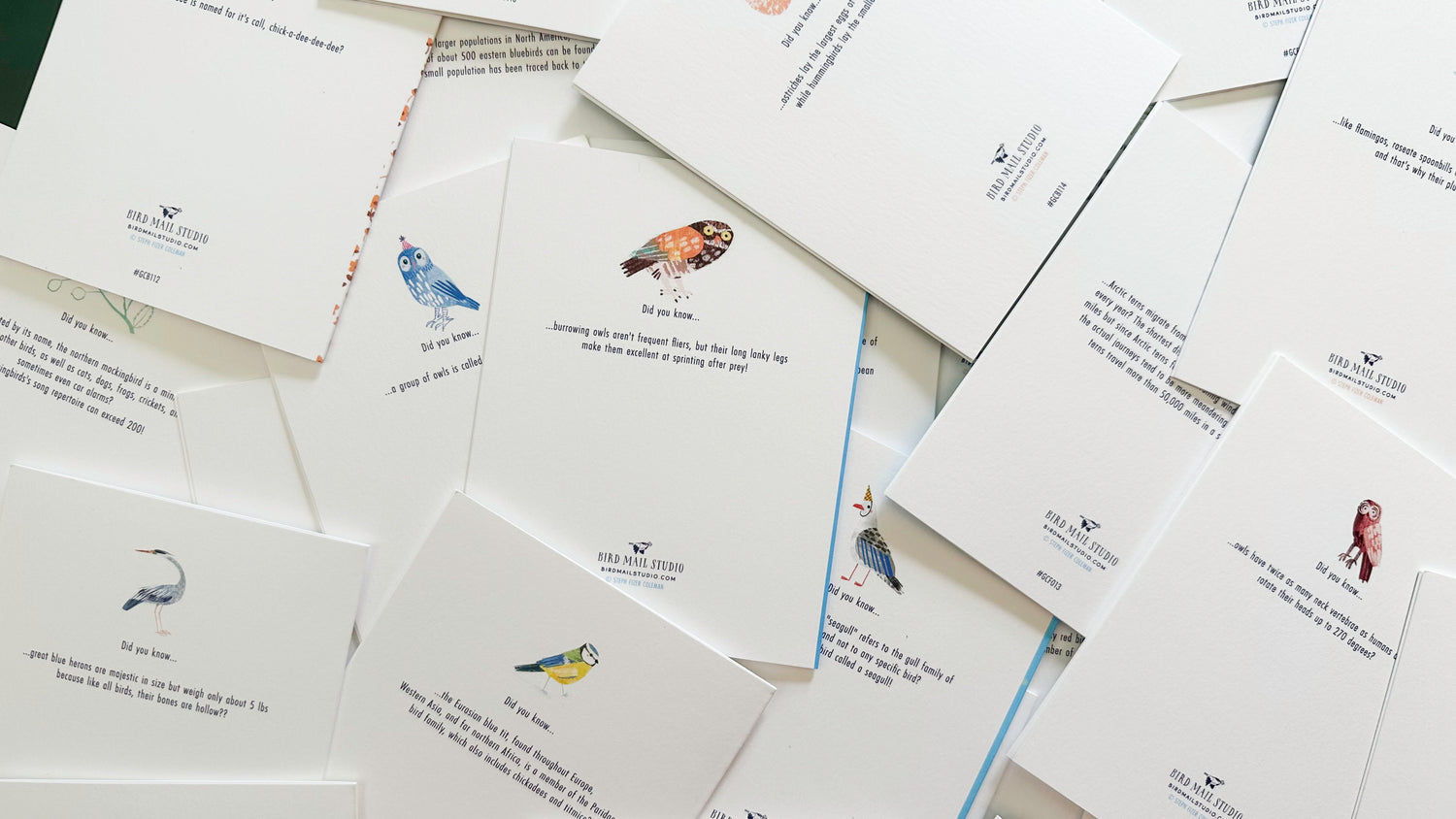 Birds Facts on the Back